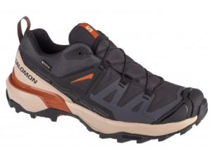 Salomon X Ultra 360 GTX 476870